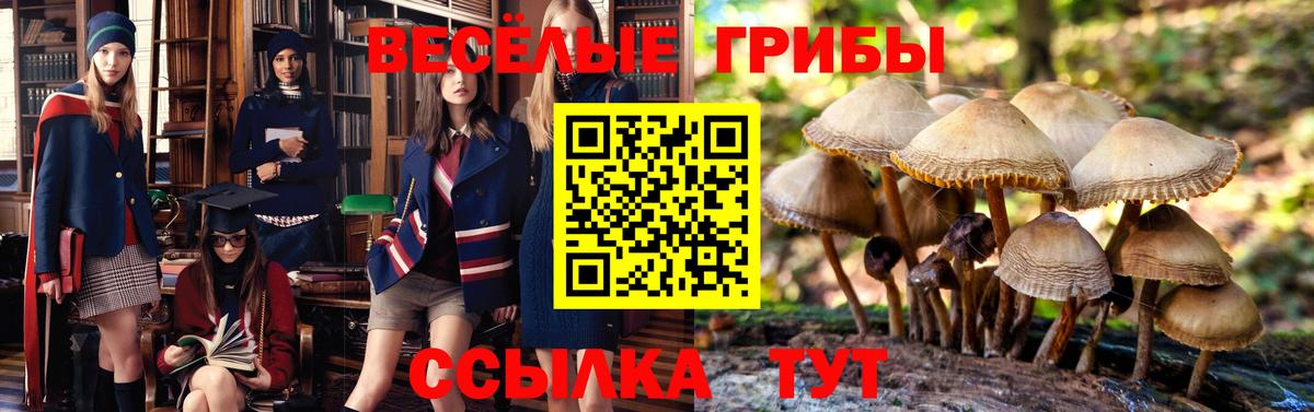 Псилоцибиновые грибы Magic Shrooms Медногорск