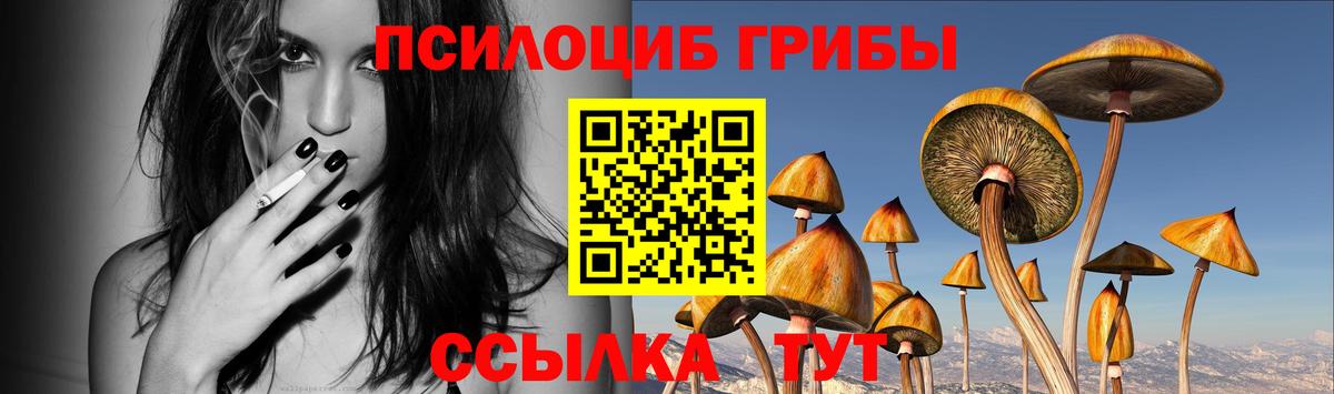 Медногорск  цена наркотик  Вход с VPN  Псилоцибиновые грибы прущие грибы 